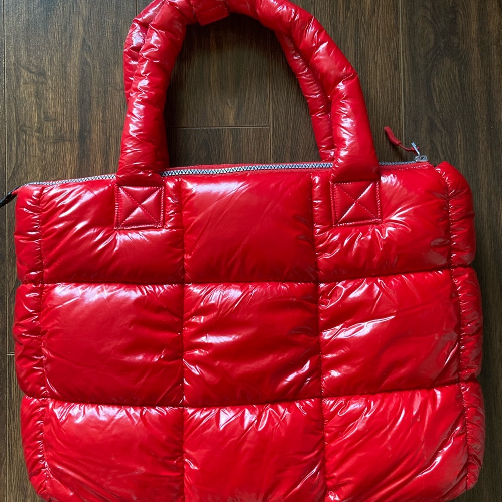 Iskin laptop bag/ purse.